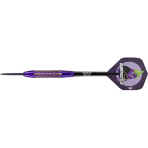 Bull's Aubergenius SC Dirk Van Duijvenbode Steel 21 g