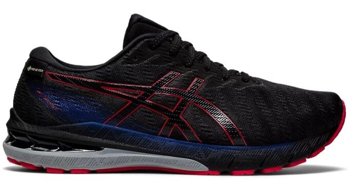 Asics GT-2000 10 G-TX M 41