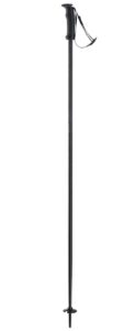 Elan Speedrod 125 cm