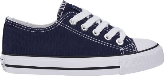 Firefly Canvas Low IV 28 EUR