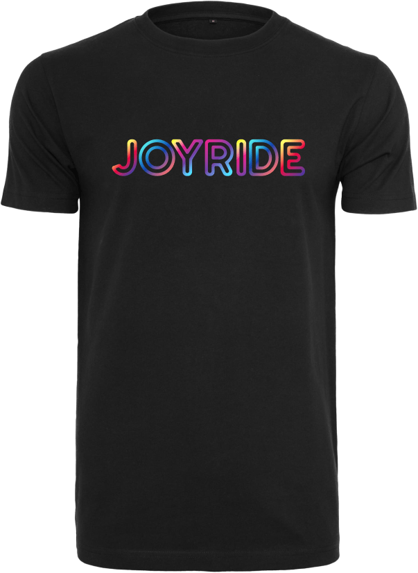 JoyRide Pride Big Logo L