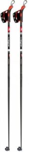 Rex Vega 130 cm