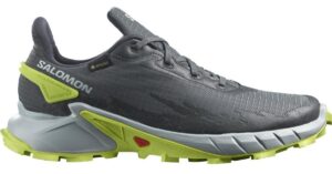 Salomon Alphacross 4 GTX M 40 2/3 EUR