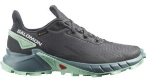 Salomon Alphacross 4 GTX W 39 1/3 EUR