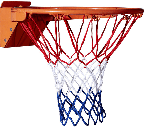 Wilson NBA DRV Basketball net